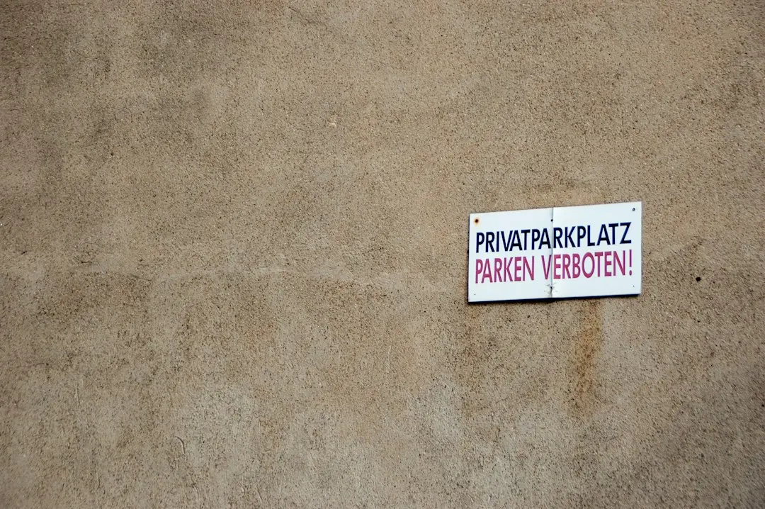 Cum revin ideile uitate pentru a modela cultura modernă?